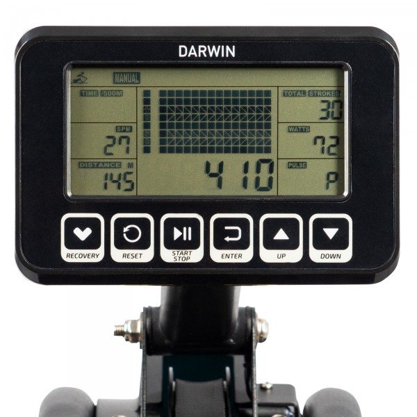 Rameur Darwin RM50 – Image 4