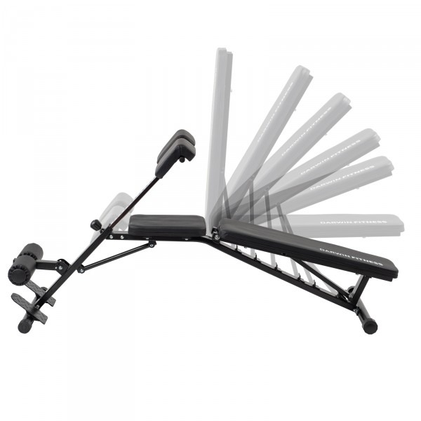 Banc de musculation Darwin FB60 – Image 2