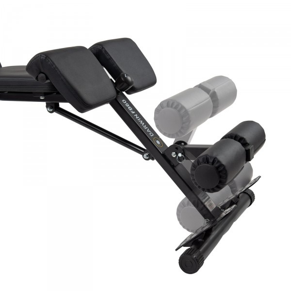 Banc de musculation Darwin FB60 – Image 4