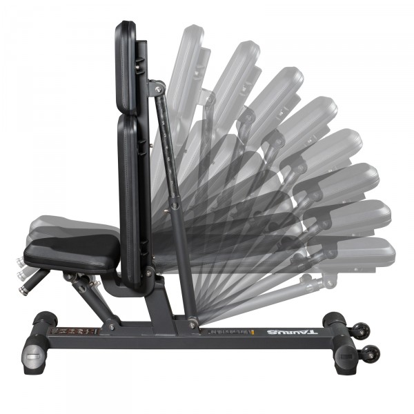 Banc de musculation Taurus Studio F.I. – Image 3