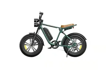 Vélo électrique ENGWE M20 750W - Autonomie 60KM - Freins à disque - Vert