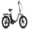 Vélo Électrique FAFREES F20 Pro - Moteur 250W Batterie 648WH Autonomie 80KM - Gris