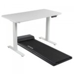 Set Darwin Walking Pad